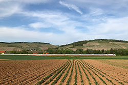 ICE 1 bei Würzburg-Heidingsfeld.  © 01.06.2021 Andre Werske