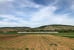 ICE T bei Würzburg-Heidingsfeld.  © 01.06.2021 Andre Werske