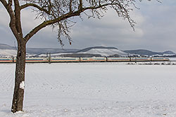 ICE 3 bei Iphofen, Strecke Würzburg – Nürnberg.